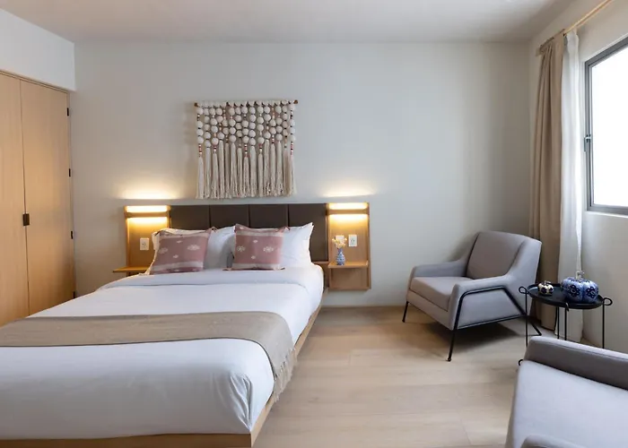 Lerma Dos Seis Cuatro Apartment Mexico City