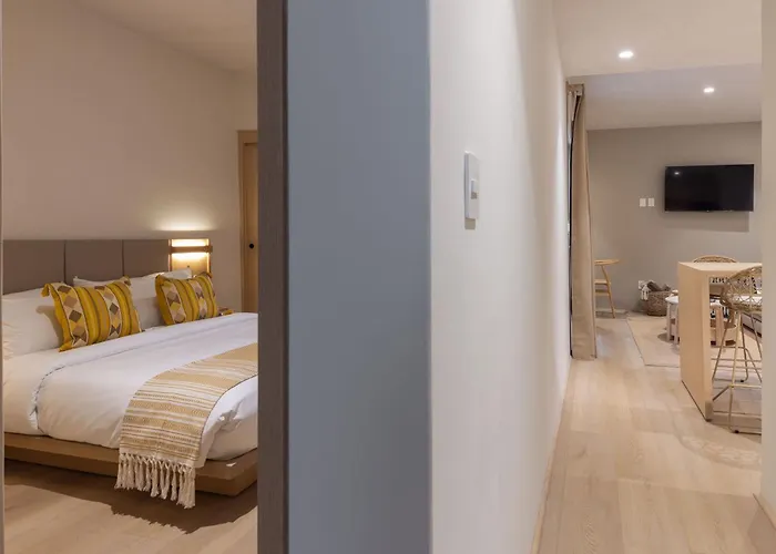 Apartment Lerma Dos Seis Cuatro Mexico City