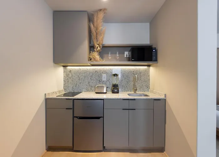 Apartment Lerma Dos Seis Cuatro Mexico City